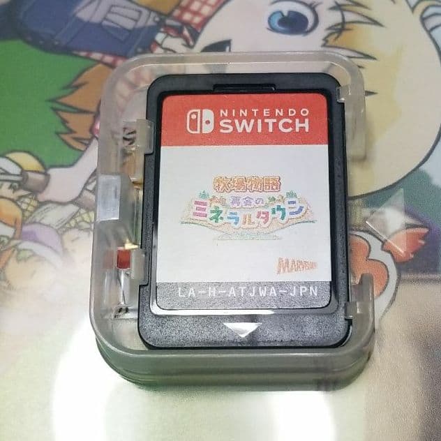 Nintendo Switch Light 本体 付属品 おまけソフト付