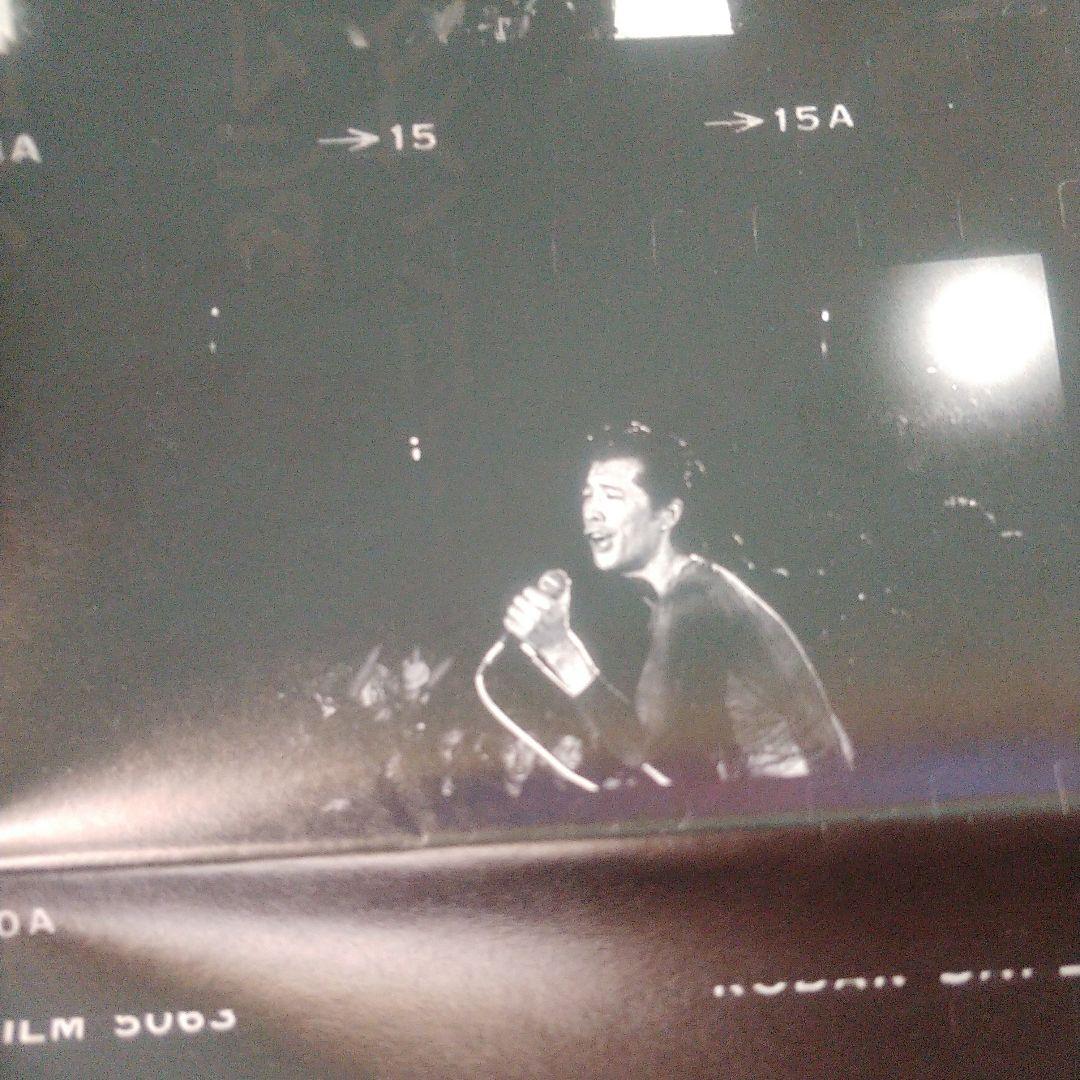 ミュージック E.YAZAWA THE STAR IN HIBIYA DVD