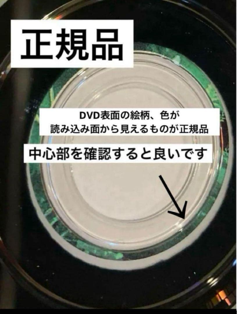 ジブリDVD11枚　本編ディスク10枚ともののけ姫8ヶ国語版合計11枚(199)
