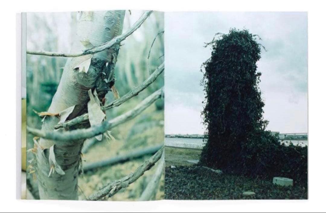 絶版‼️ 細倉真弓 KAZAN Mayumi Hosokura
