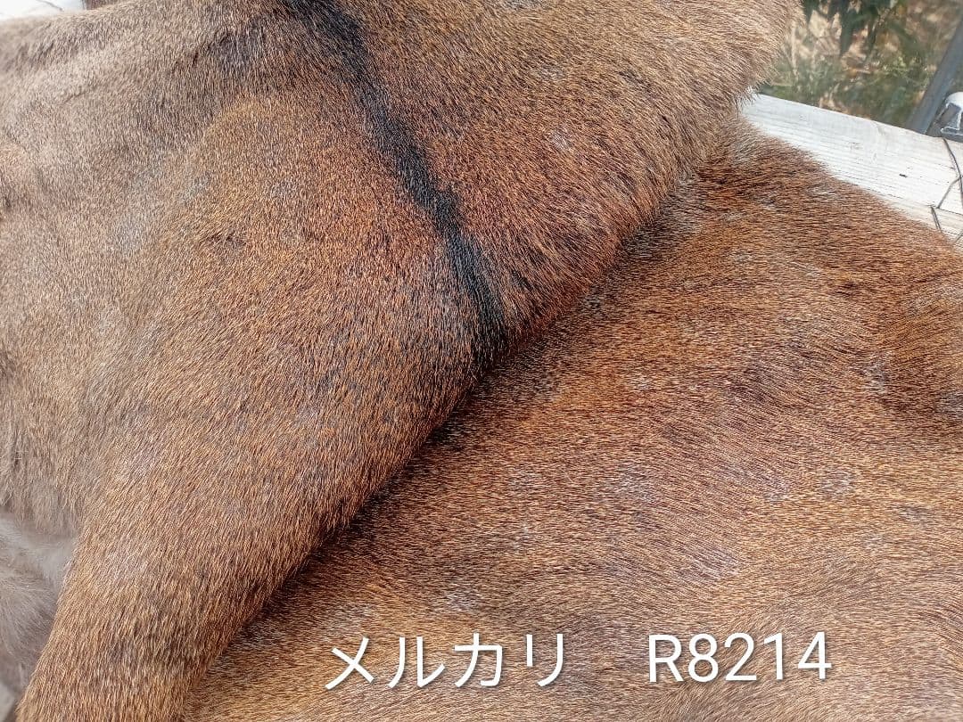 天然日本鹿　毛皮　ラグ　オマケ付き
