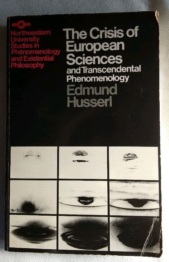 洋書 The Crisis of European Sciences ........