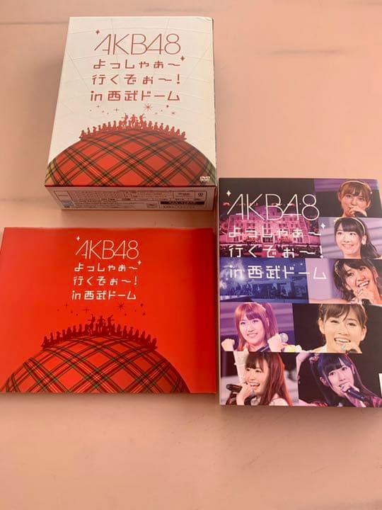 AKB48 in 西武ドーム