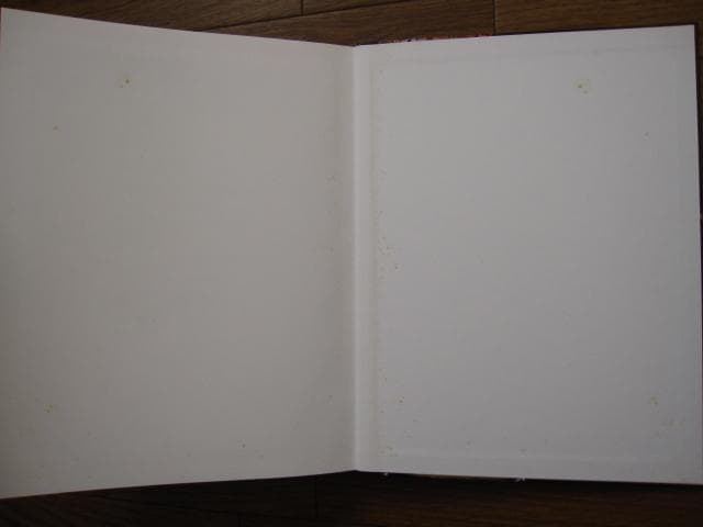 Marilyn Minter　マリリン・ミンター