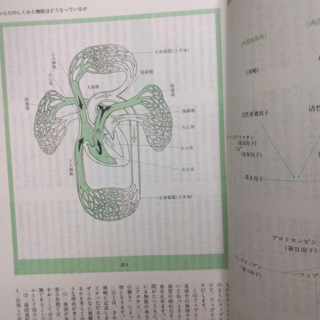 家庭の健康と医学大百科