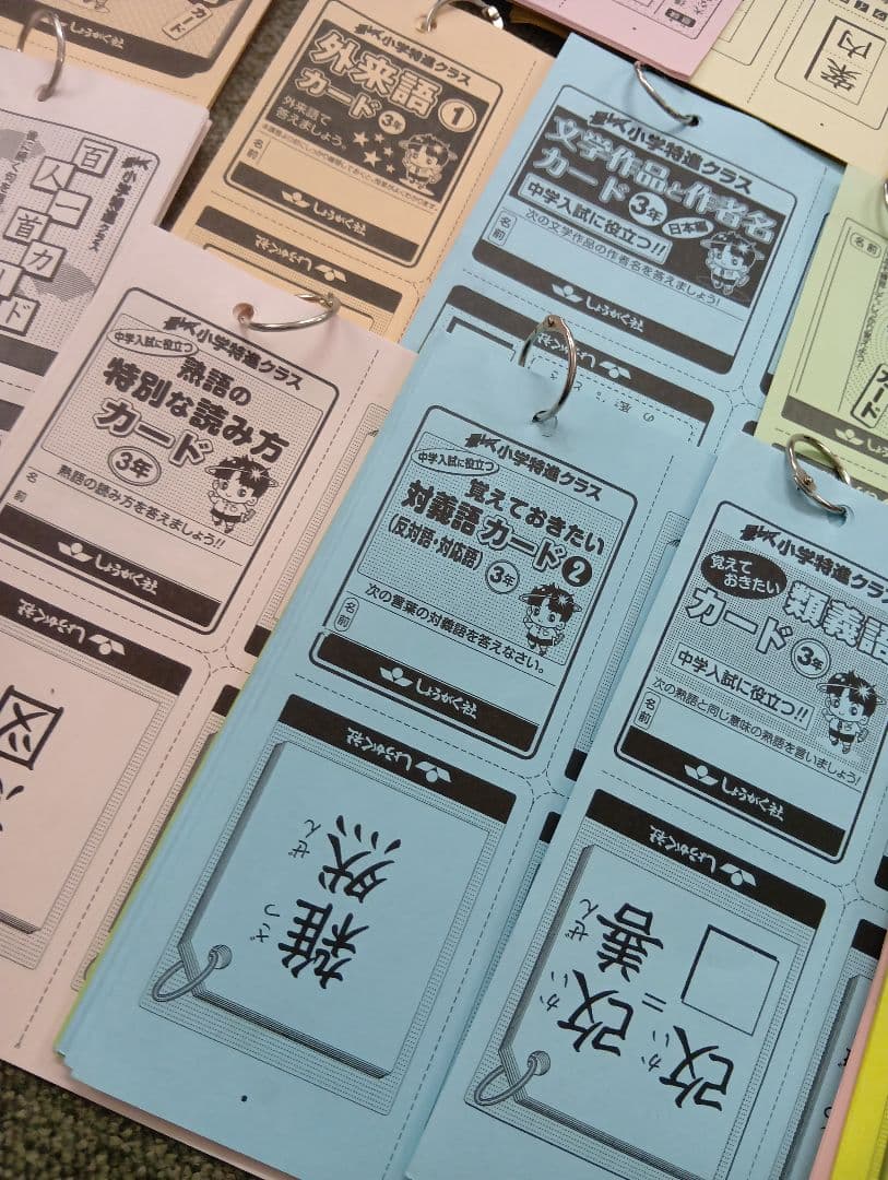しょうがく社　3年生小学生特進クラス　国語/算数カード　セット