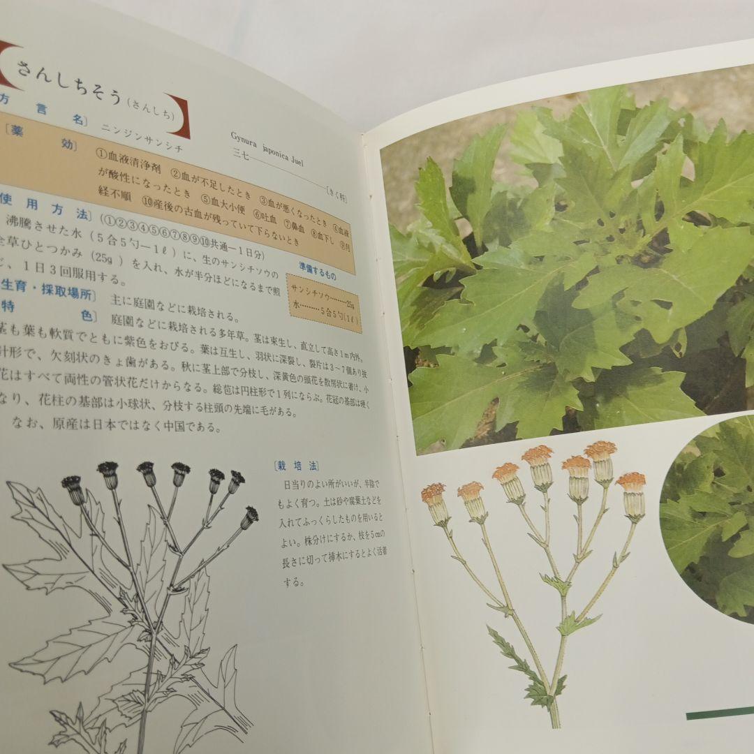 おきなわの薬草百科 多和田真淳　オマケ付き