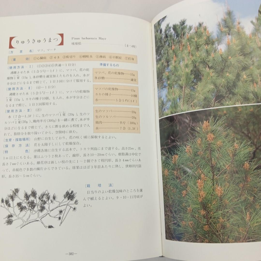 おきなわの薬草百科 多和田真淳　オマケ付き