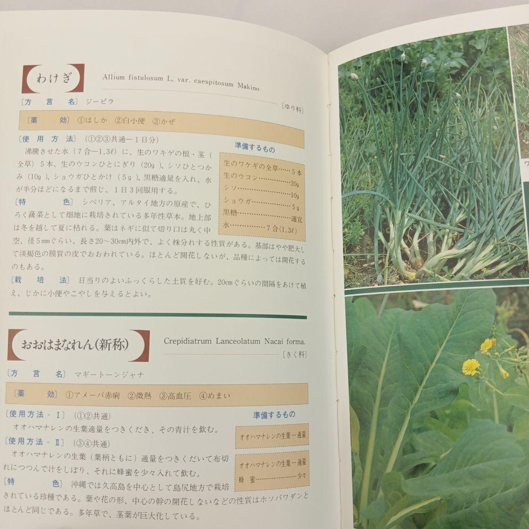 おきなわの薬草百科 多和田真淳　オマケ付き