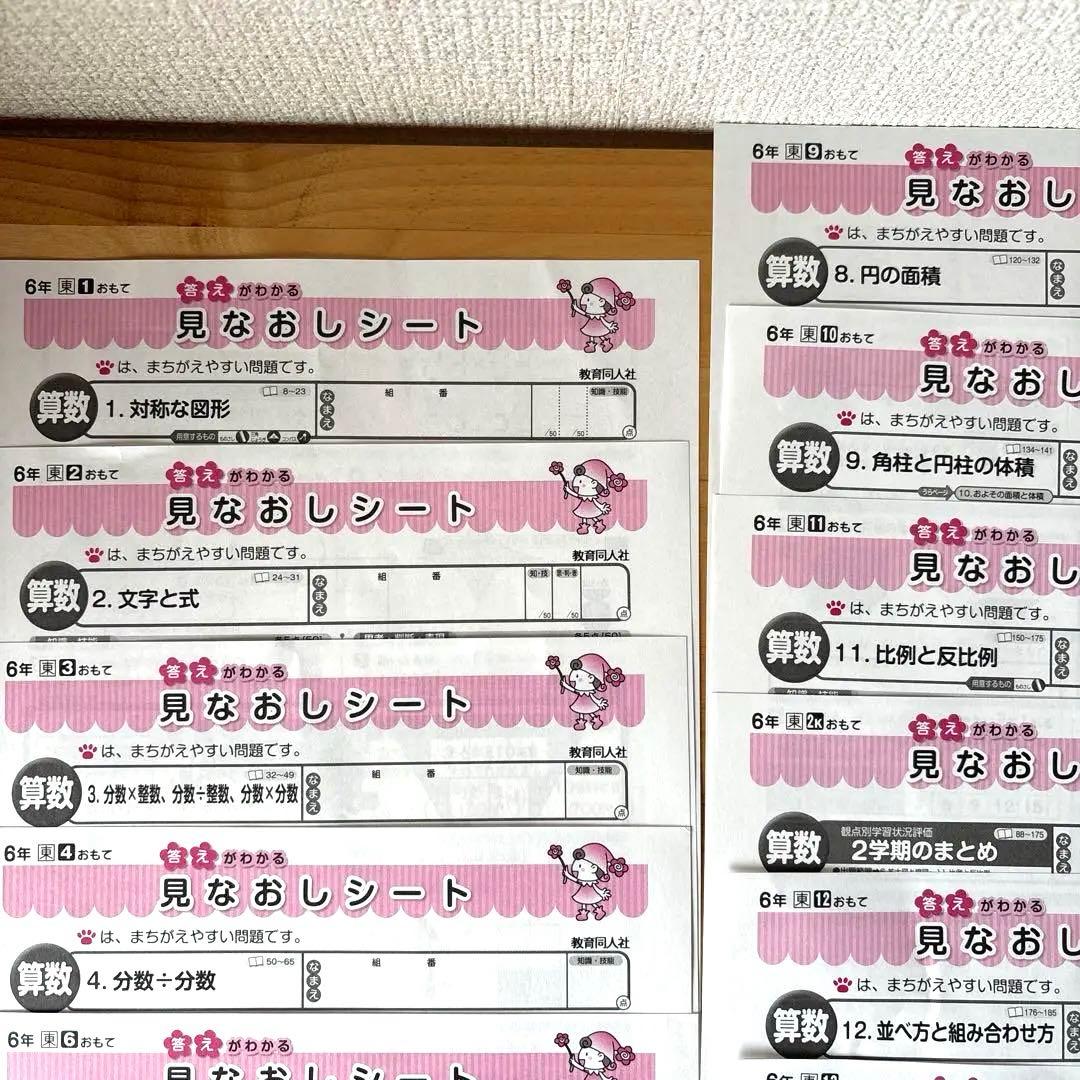 ⑤小学6年生　算数テストの見なおしシート　17枚