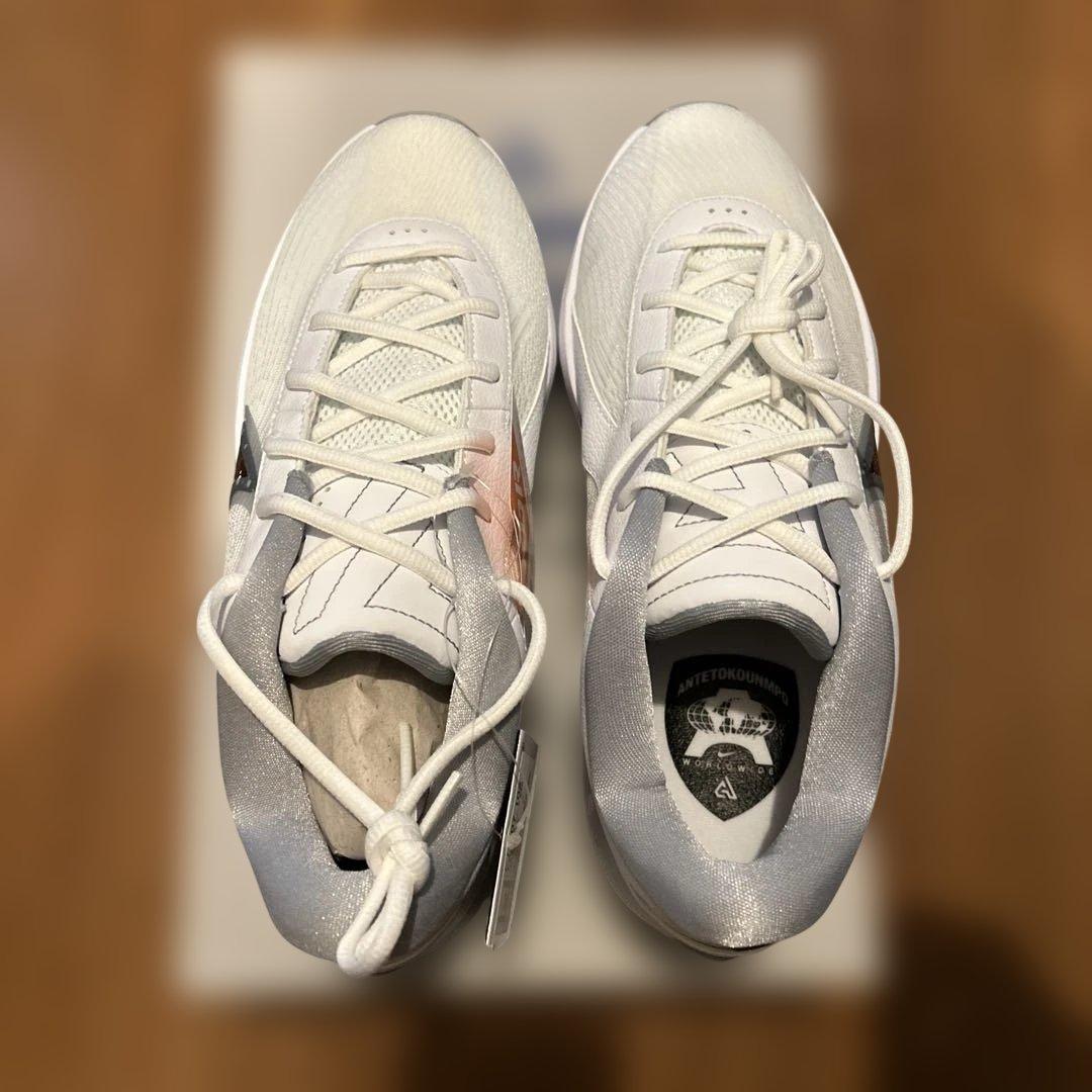 シューズ(男性用) NIKE zoom freak6