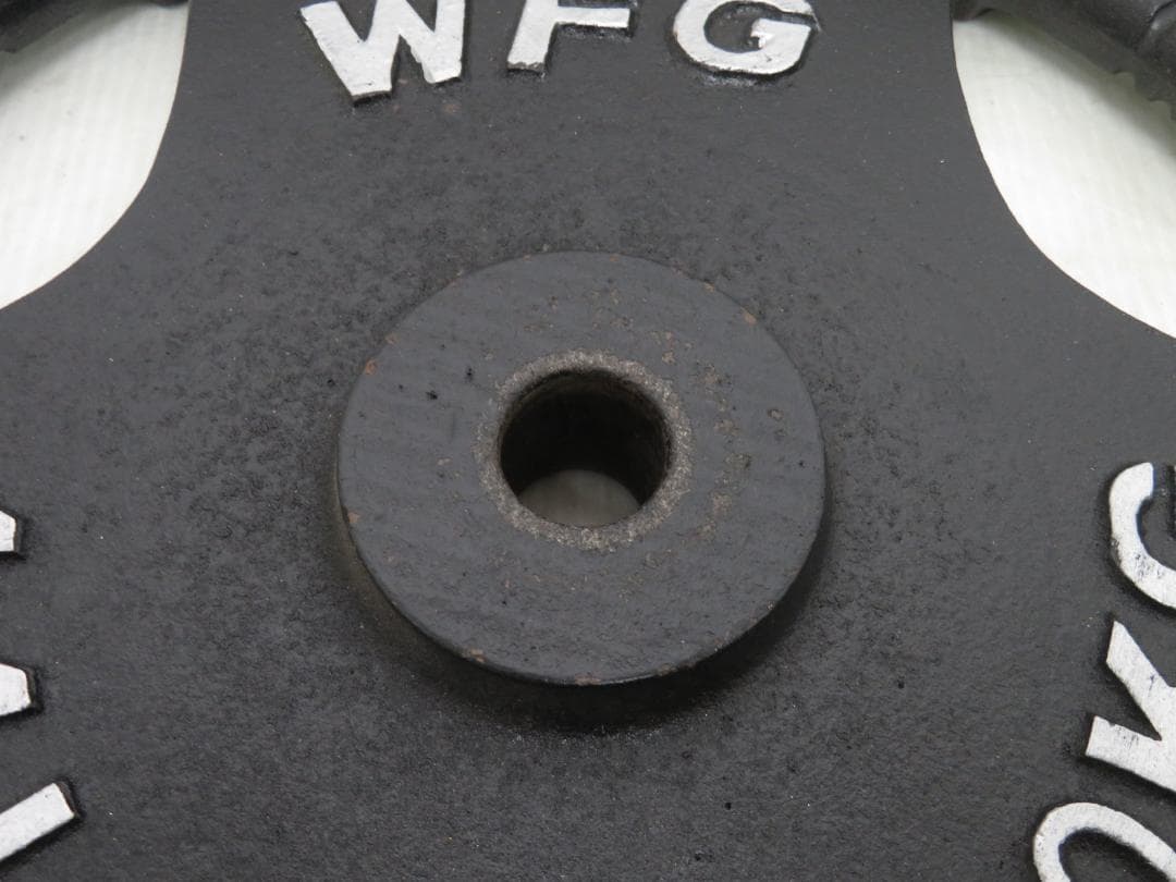 WFG ワイルドフィット アイアンプレート 20kg レギュラー 穴径28mm②