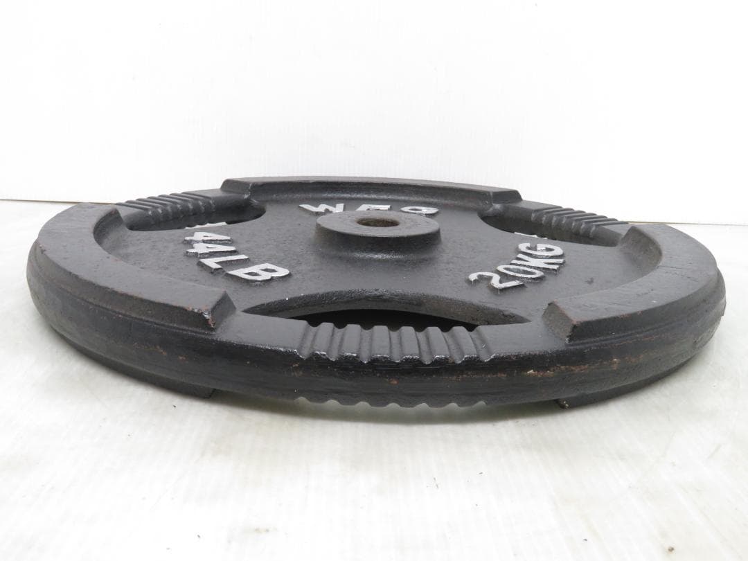 WFG ワイルドフィット アイアンプレート 20kg レギュラー 穴径28mm②