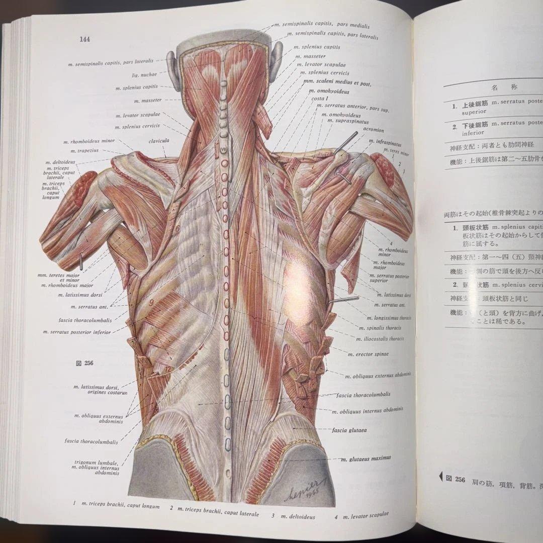 図説人体解剖学第1巻と第3巻　医学書院