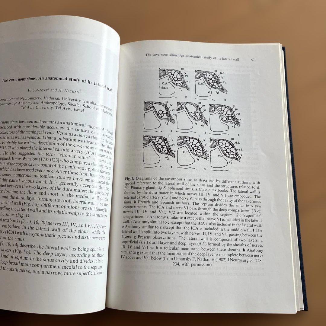 健康・医学 The Cavernous Sinus