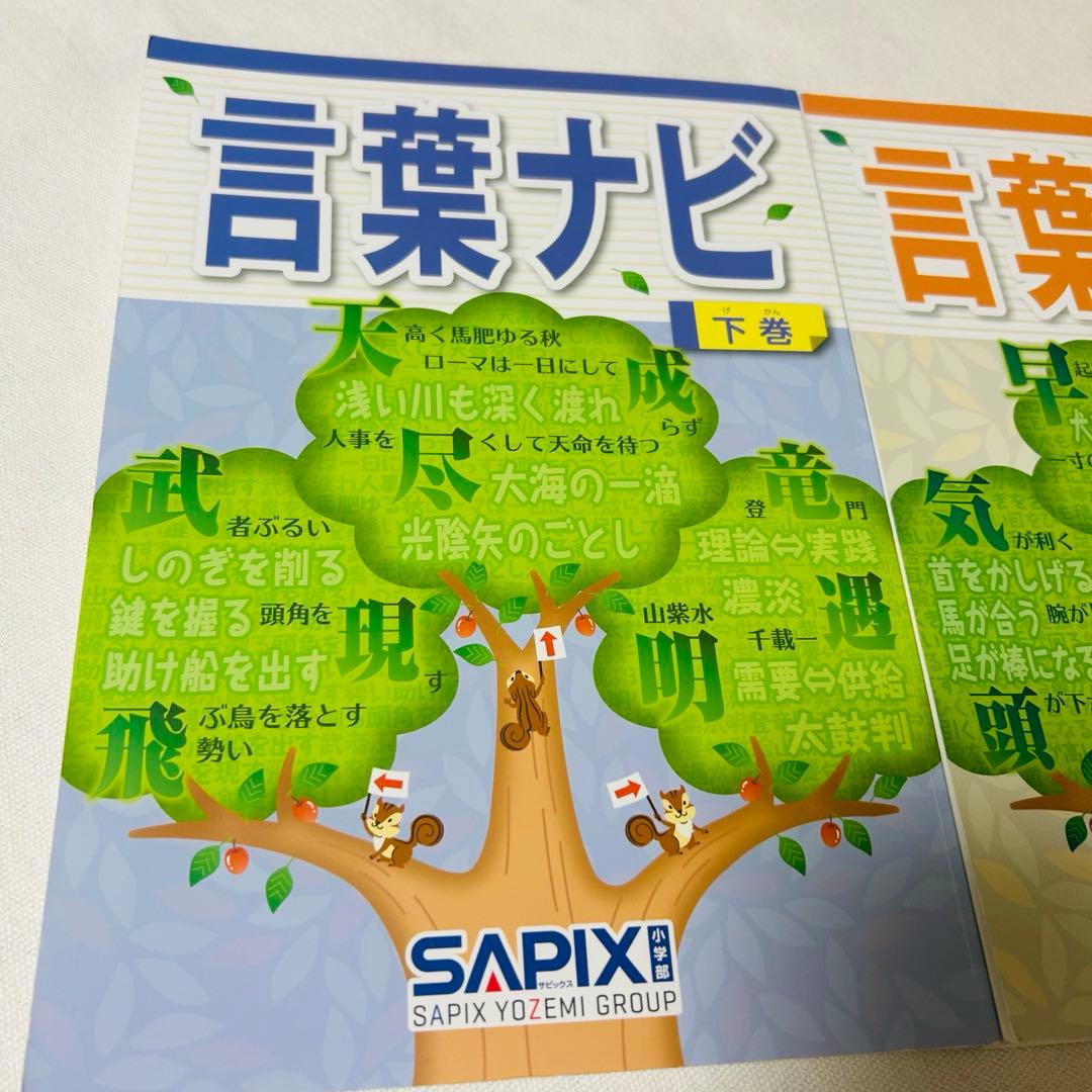 ⑳AA SAPIX 美品　サピックス　言葉ナビ　上巻　下巻　重要教材