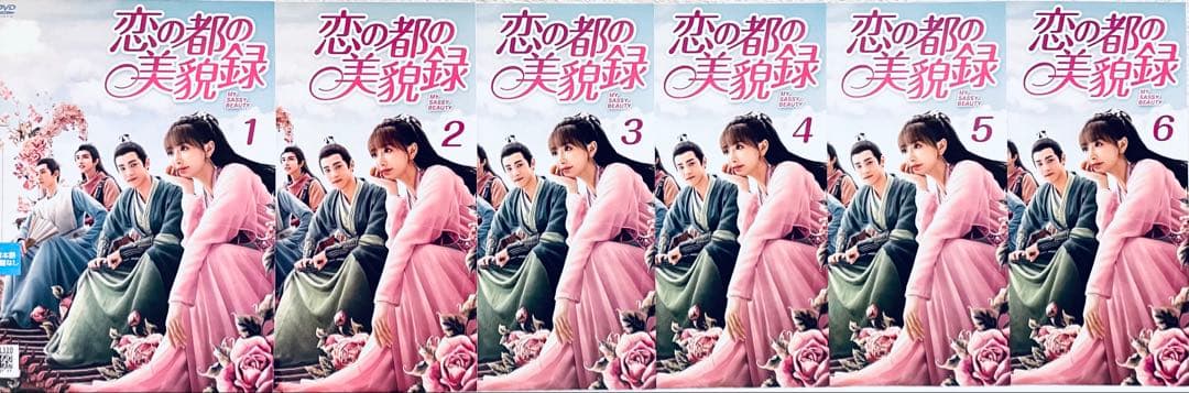 恋の都の美貌録　【全12巻】　レンタル版DVD 全巻セット　コン・シュエアル