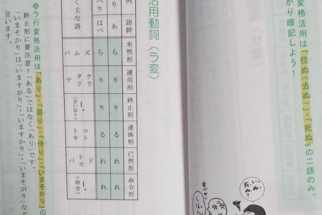 2025 四谷学院 55マスター現代文 古文漢文 まとめ売り