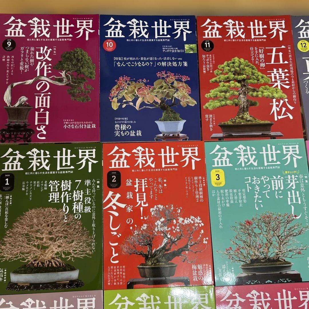 盆栽世界 23冊
