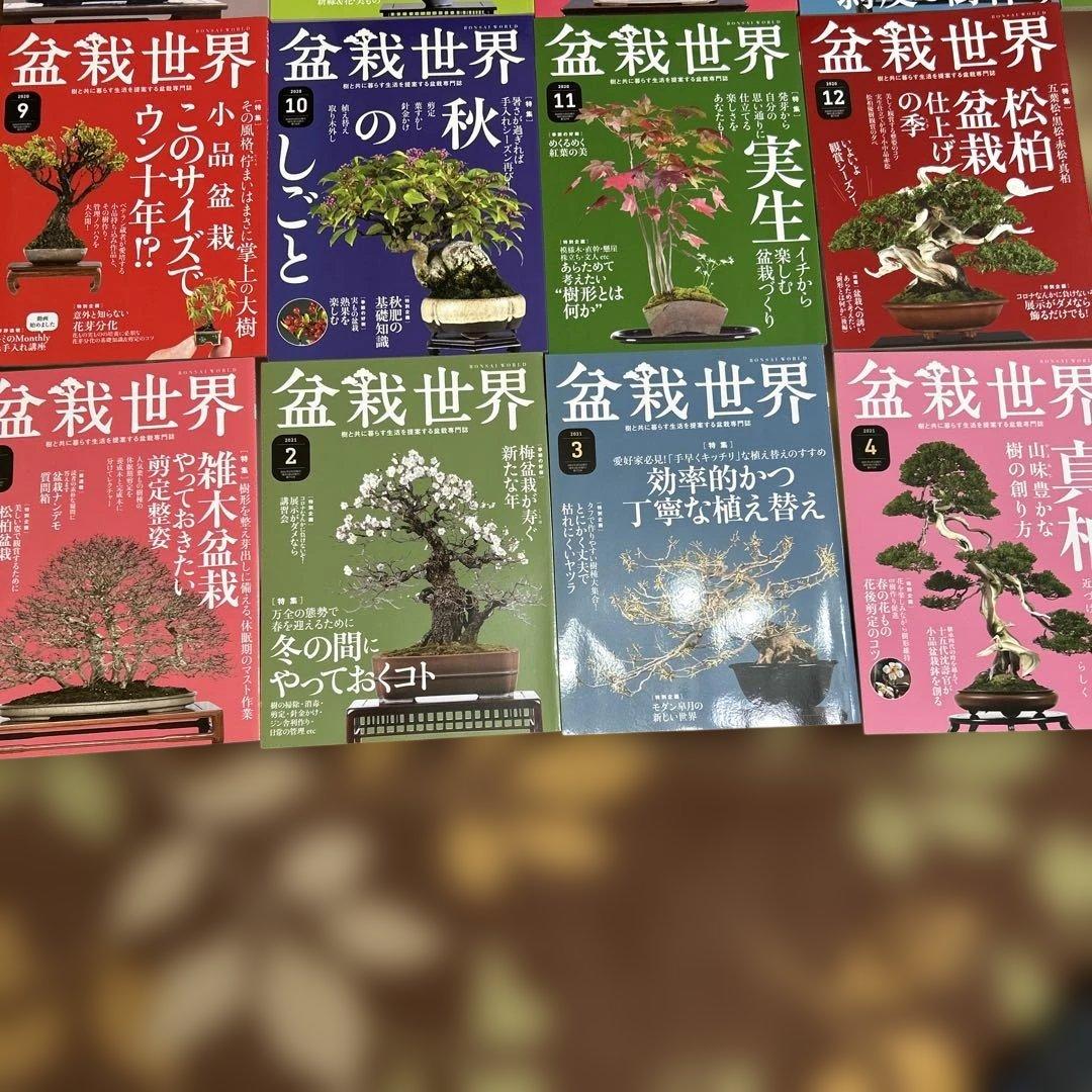 盆栽世界 23冊