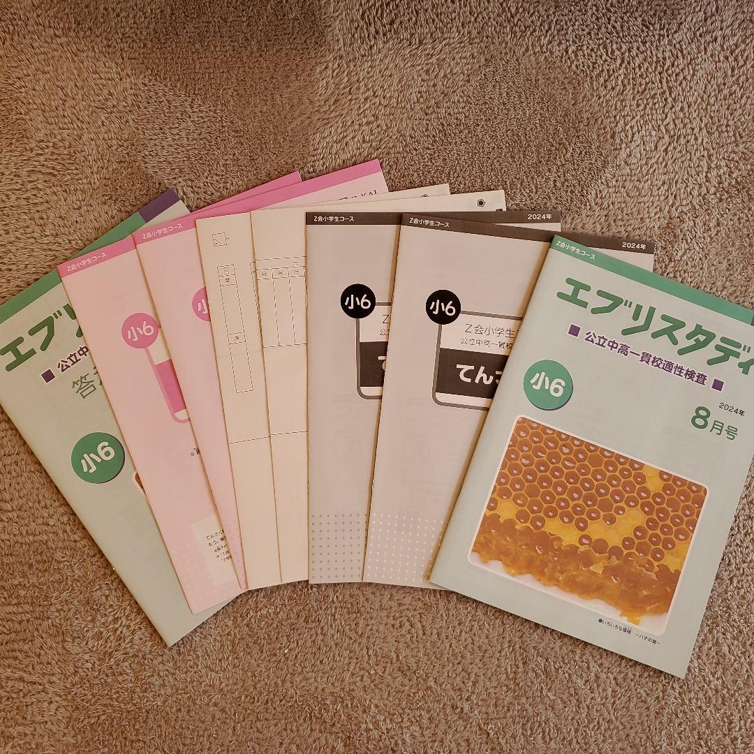 Z会 エブリスタディ 適性検査 小6 公立中高一貫