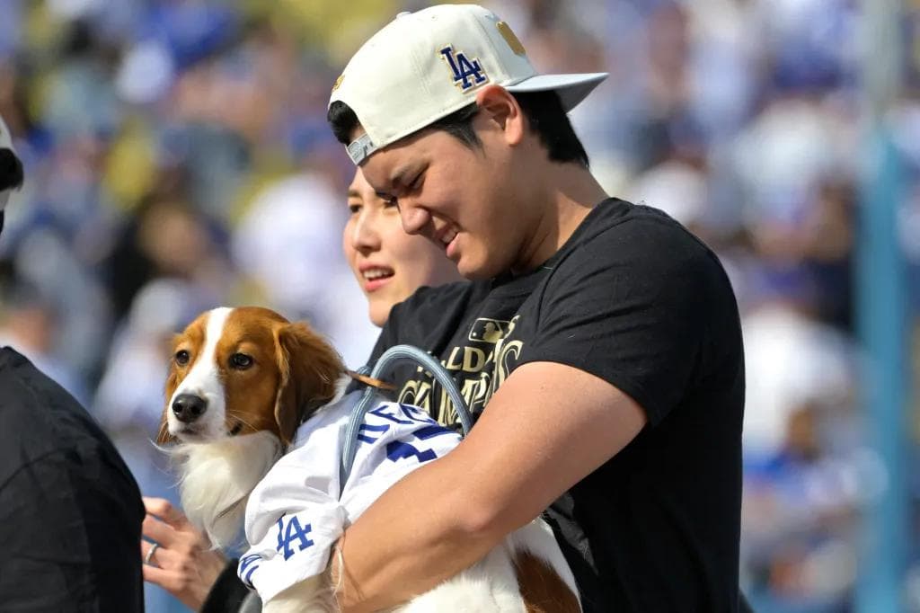 大谷翔平 山本由伸 佐々木朗希 ドジャース 2024連覇記念キャップ MLB公式