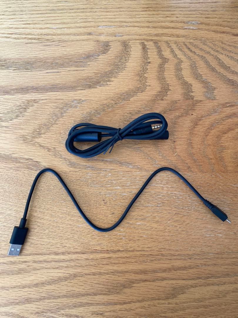 LEDLENSER NEO10R レッドレンザー