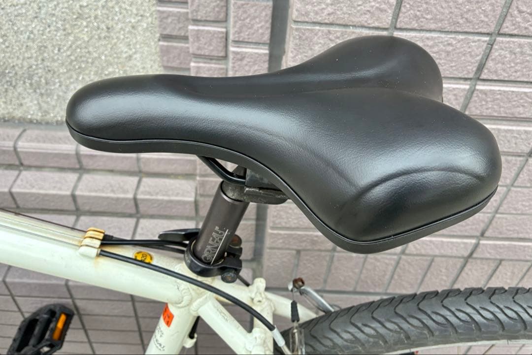 LOUIS GARNEAU ルイガノ　LGS FIVE MTB 東京