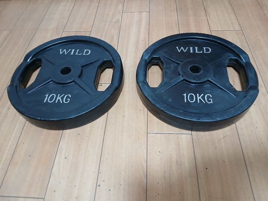 WILD FIT プレート10kg x 2枚 計20kg