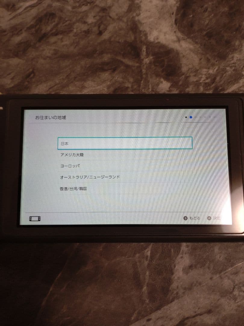S*D様 スイッチライト『ジャンク品』