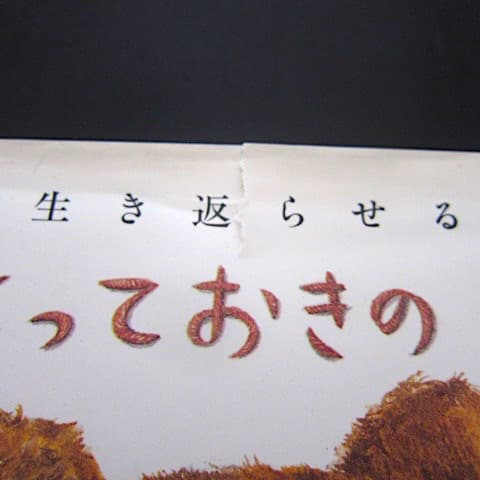 本107／イラスト絵本　とっておきの日曜日　Vol.1~5　津田直美