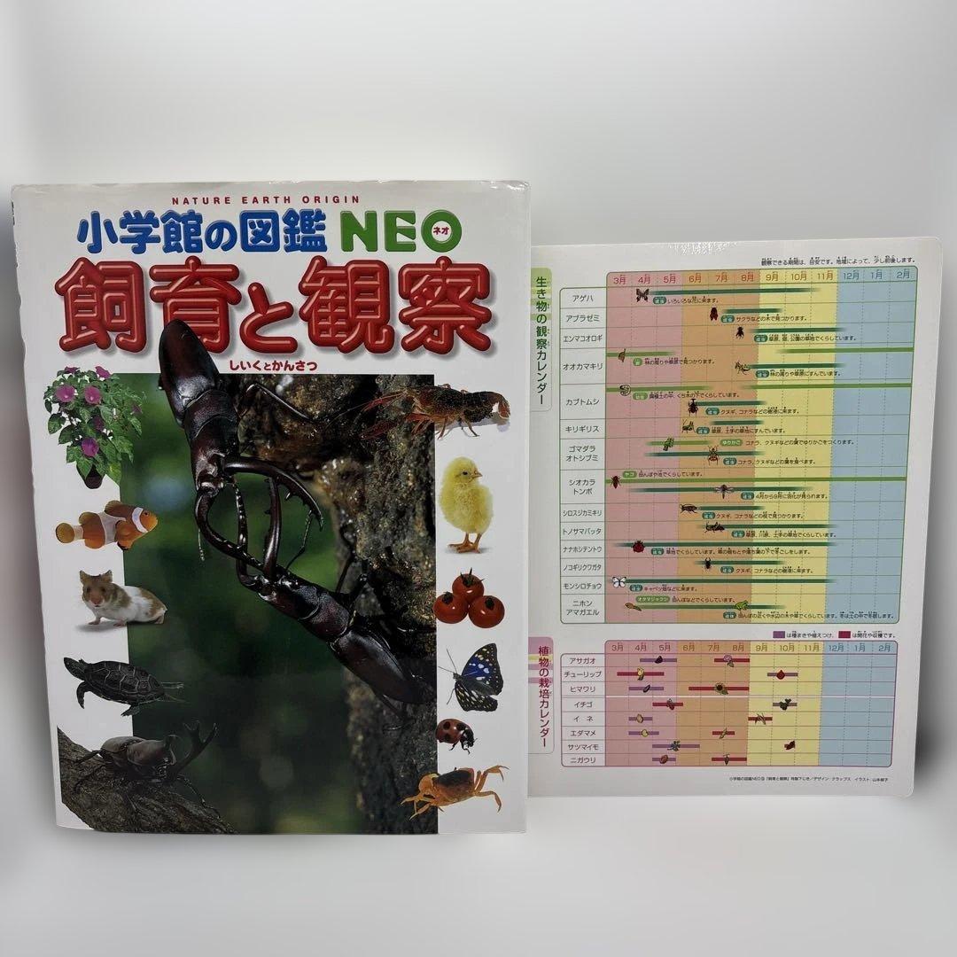 小学館の図鑑NEO 14冊セット