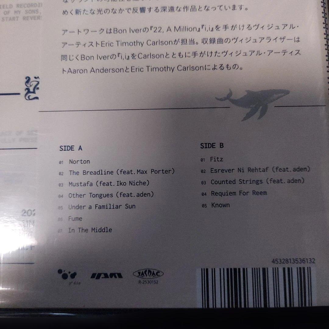 洋楽 The Vernon Spring - Under a Familiar Sun