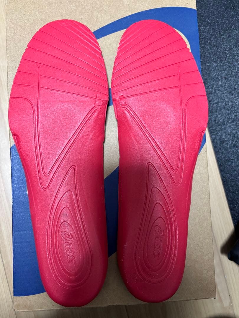 【美品】asics DS LIGHT PRO NARROW 27.0cm