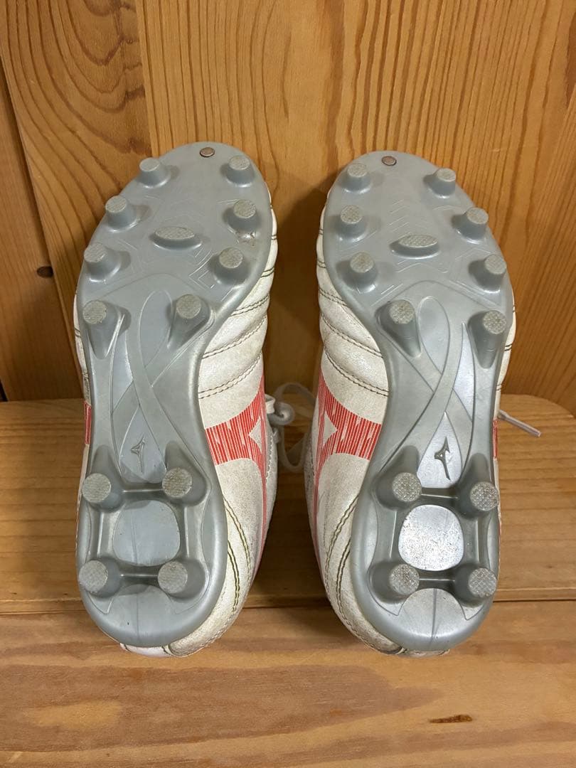 asics DS light MIZUNO モナルシーダ19cm シダスインソー