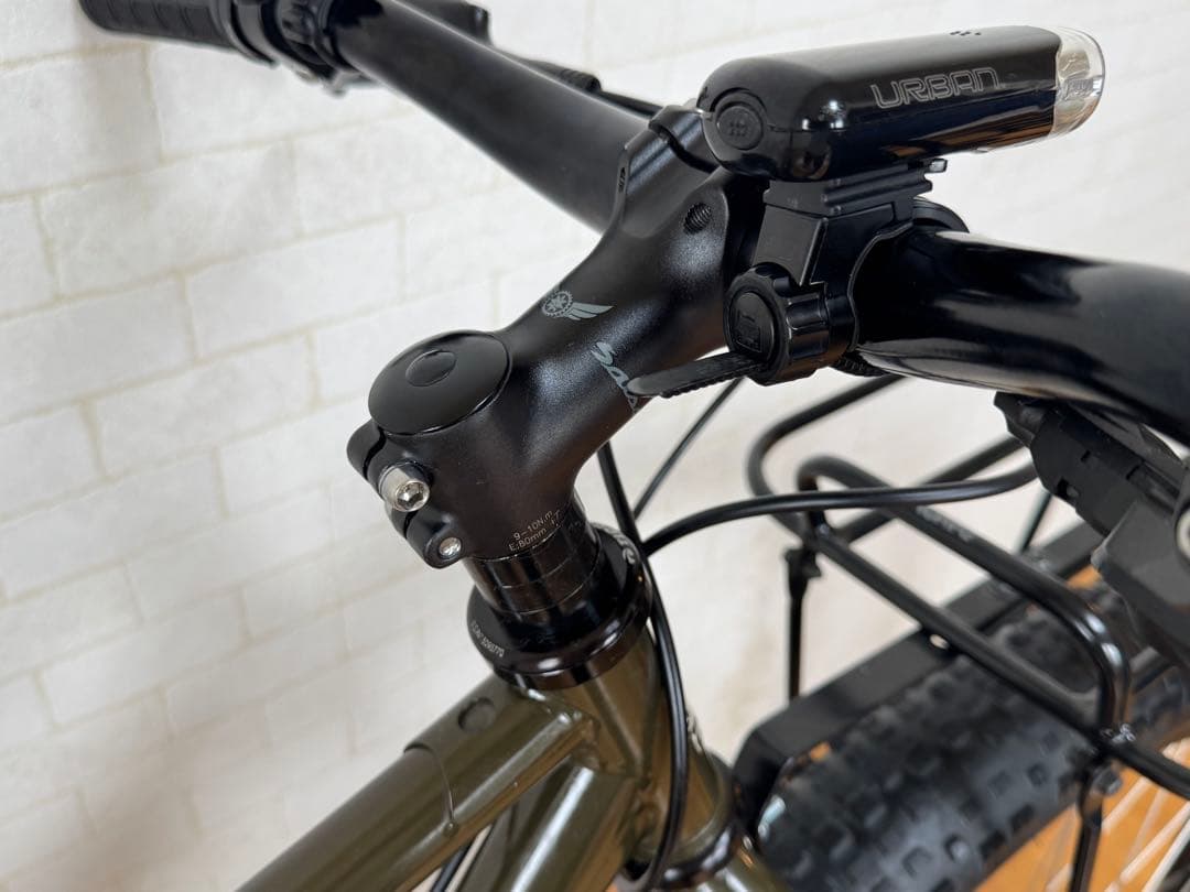 Surly ECR 29+ マウンテンバイク サーリー　クロモリ　グリーン