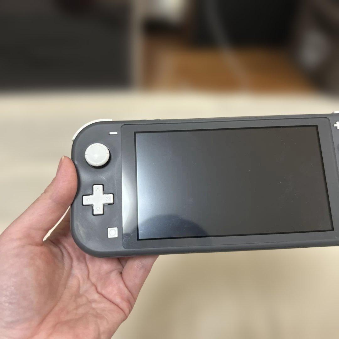 Nintendo Switch Lite グレー　箱、収納ケース付き
