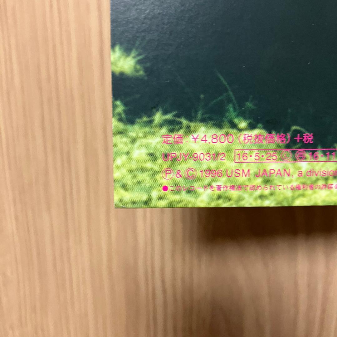 Fishmans『空中キャンプ』2LP/アナログ盤
