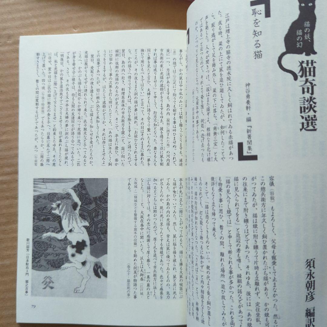 幻想文学　猫の妖、猫の幻　中国幻想文学　京極夏彦　妖怪