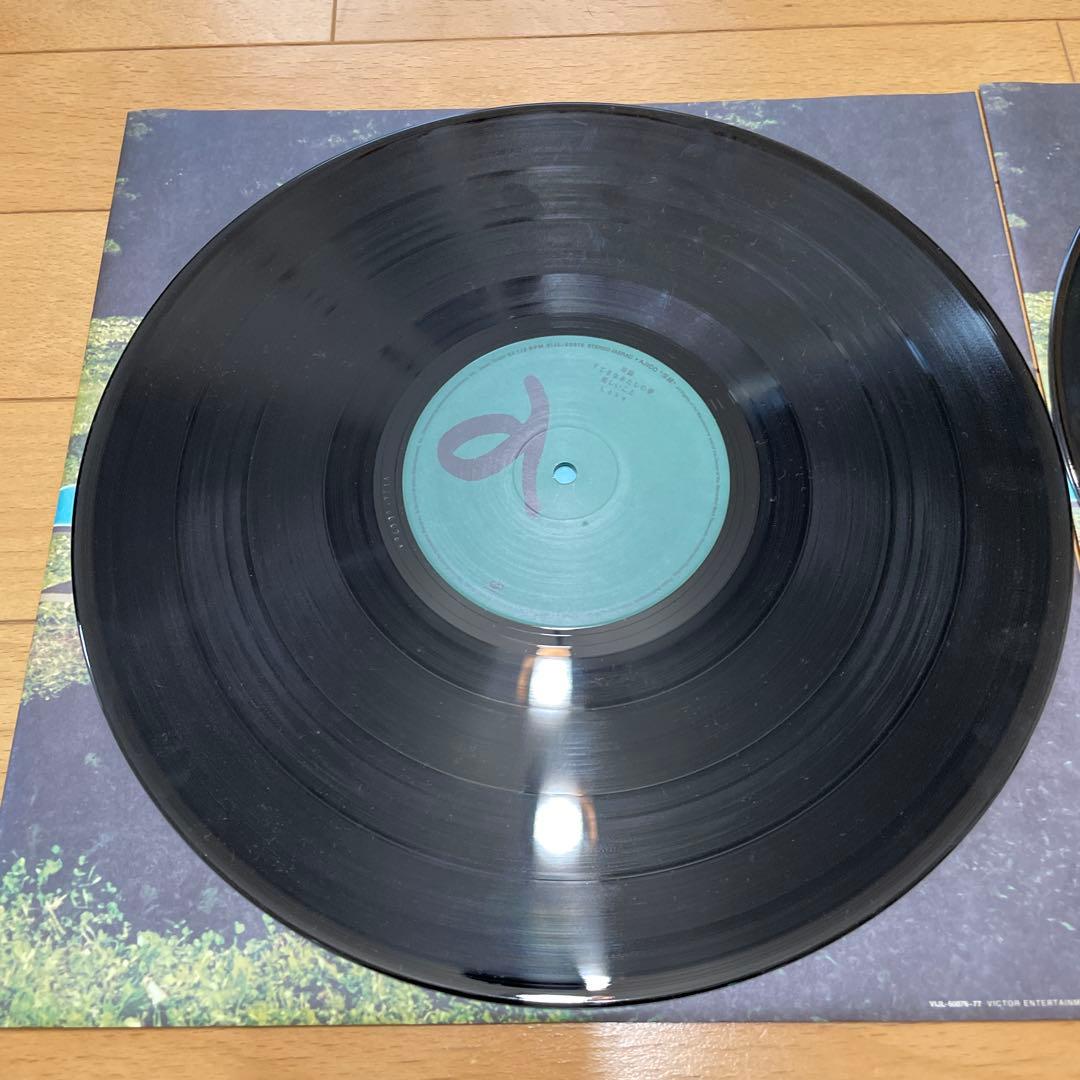 AJICO 深緑 レコード