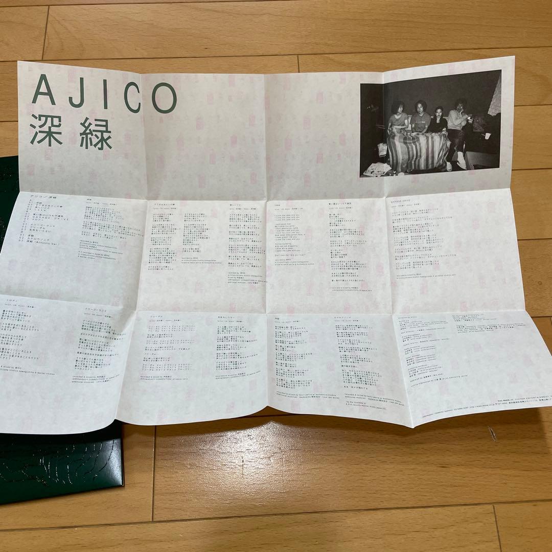 AJICO 深緑 レコード