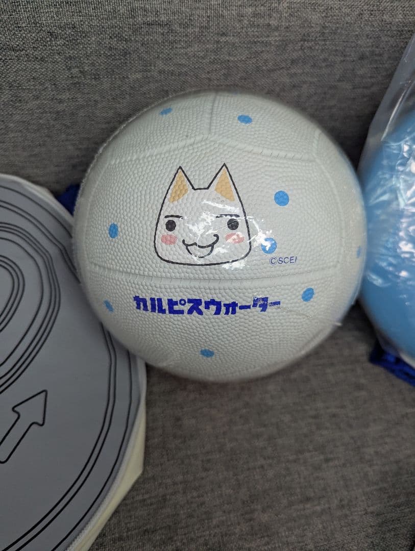 激レア　トロといっしょ　非売品　ラケット　ボール　トロのともだちわいわいセット