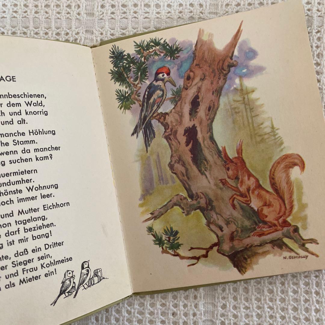 【レア】Nora Scholly ドイツの小さな絵本 森のお話 洋書 古書