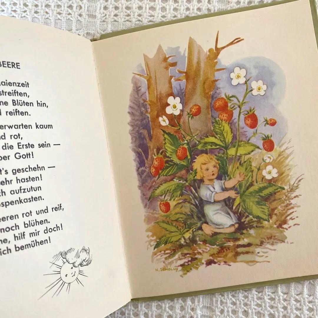 【レア】Nora Scholly ドイツの小さな絵本 森のお話 洋書 古書