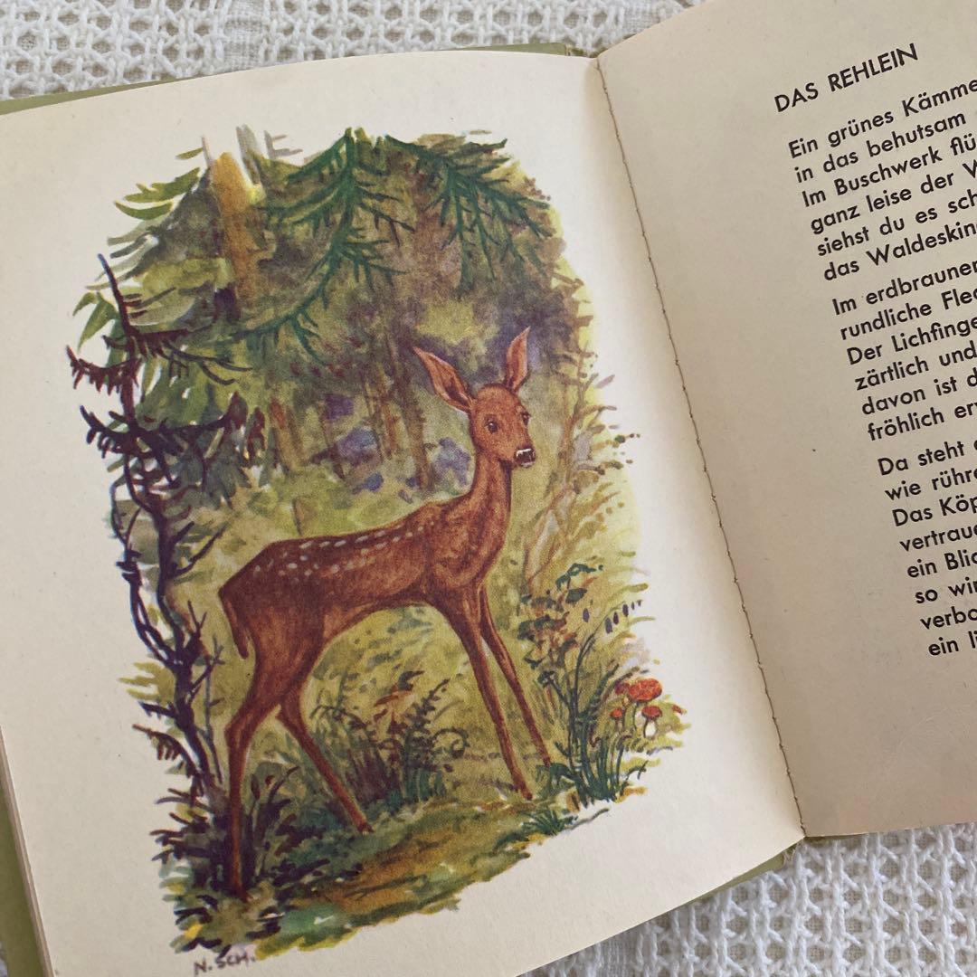 【レア】Nora Scholly ドイツの小さな絵本 森のお話 洋書 古書