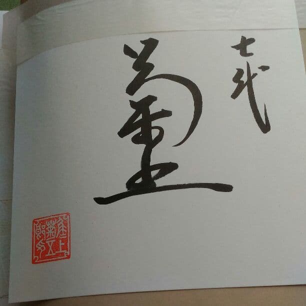 写真集　七代目　菊五郎の芝居