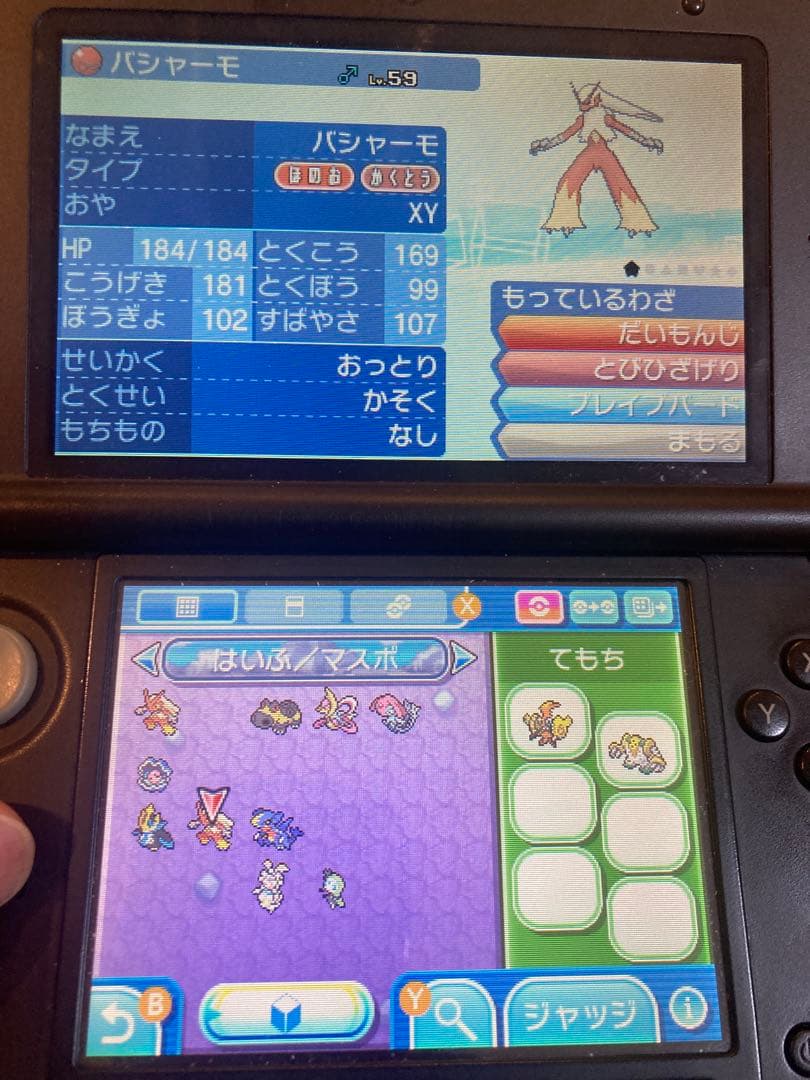 ポケモンウルトラサン、ウルトラムーン　配布多数