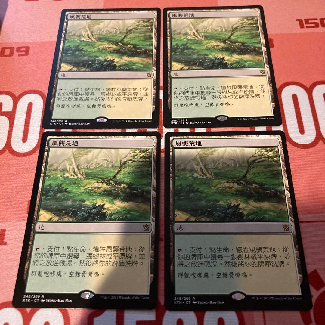 MTG 吹きさらしの荒野　繁体中国語　4枚