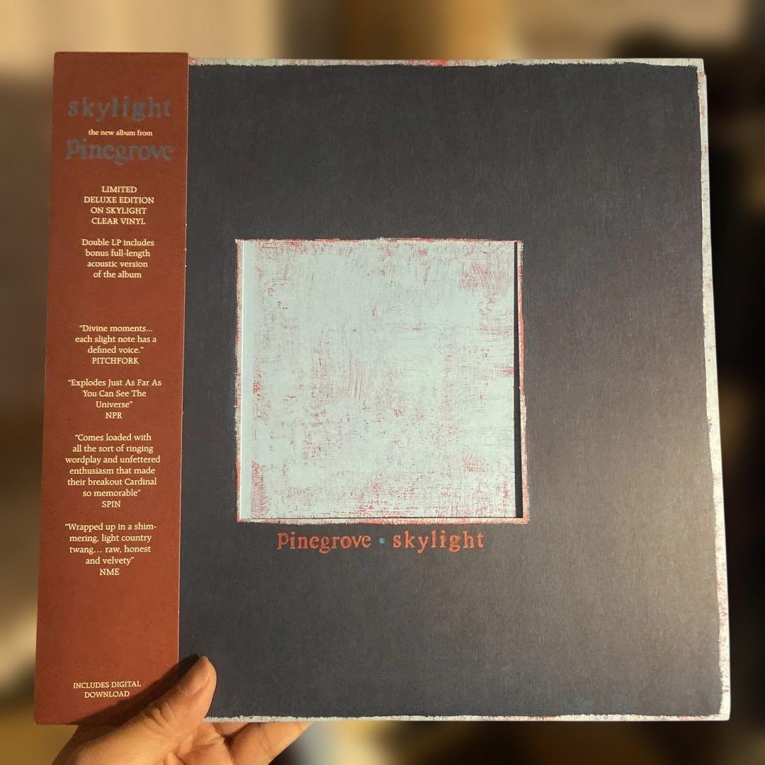 Pinegrove - skylight レコード