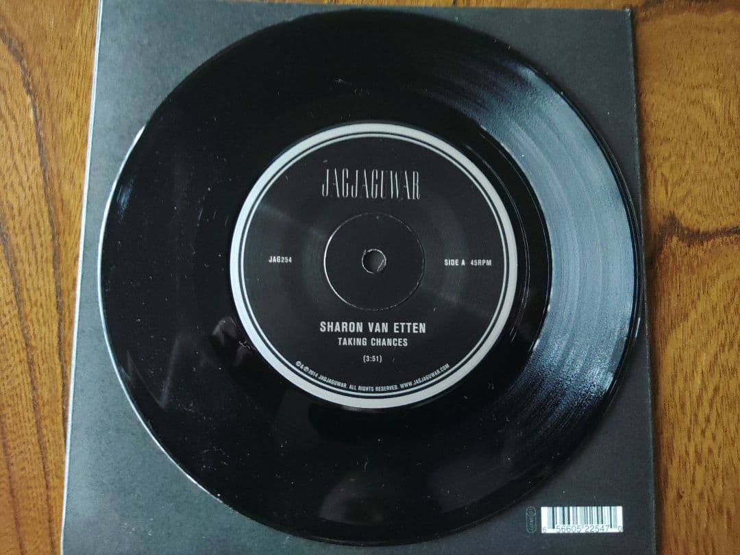 Sharon Van Etten シャロン・ヴァン・エッテン 7インチ レコード